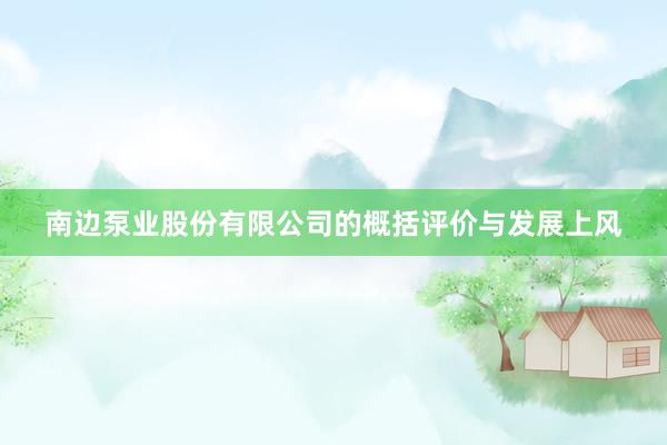 南边泵业股份有限公司的概括评价与发展上风