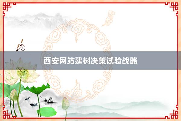 西安网站建树决策试验战略