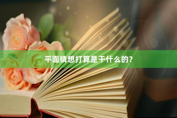 平面猜想打算是干什么的？