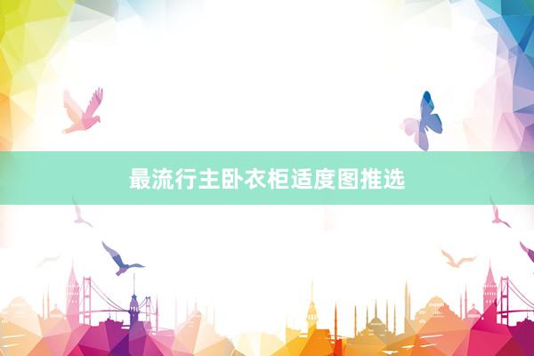 最流行主卧衣柜适度图推选