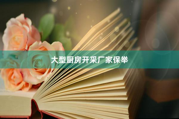 大型厨房开采厂家保举
